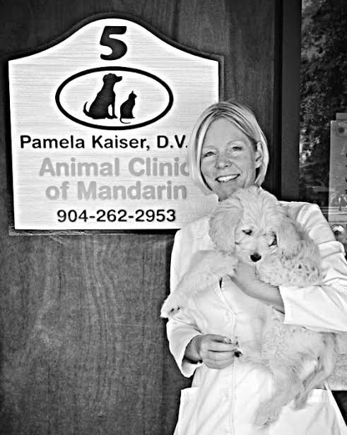 Animal Clinic of Mandarin - Veterinarian in Jacksonville, FL US